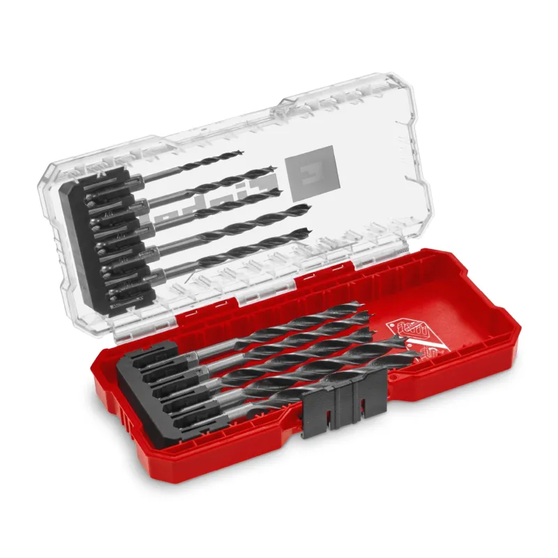 Einhell S-Case 10 kom Set burgija za drvo 49108733