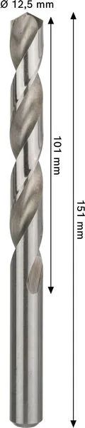 PRO Metal HSS-G spiralna burgija, 12,5×101×151 mm 2608577665