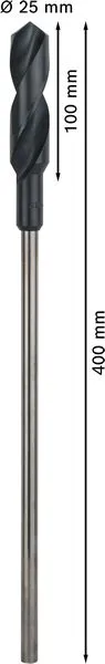 PRO Wood HSS burgija za instalacije, 25×100×400 mm 2608597169