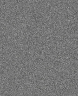 Bosch PRO C355 brusna rolna 230x280 mm, G80 2608608H61