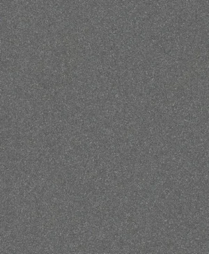 Bosch PRO C355 brusna rolna 230x280 mm, G100 2608608H62