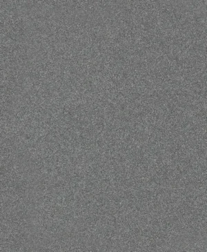 Bosch PRO C355 brusna rolna 230x280 mm, G120 2608608H63