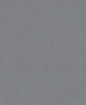 Bosch PRO C355 brusna rolna 230x280 mm, G600 2608608H68