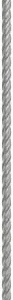 Bosch PRO SDS plus-5X burgija za udarne bušilice 8×400×460 mm 2608833794