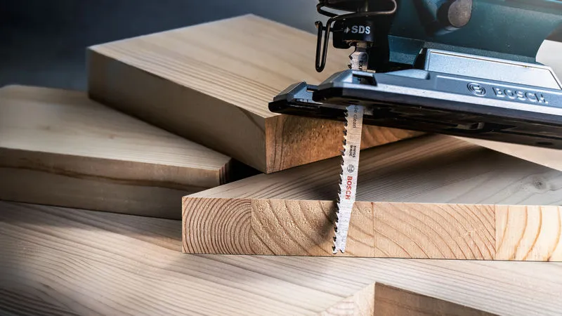 EXPERT „Wood 2-side clean“ T 308 B list ubodne testere 100 delova 2608900553