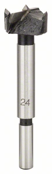 Bosch Umetnička burgija, tvrdi metal 2608597606