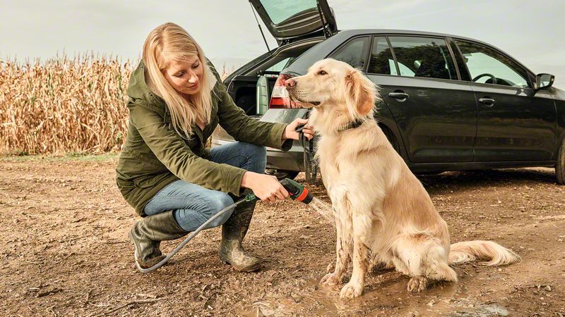 Bosch 06008B6001 Blagi pritisak za blatnjave šape