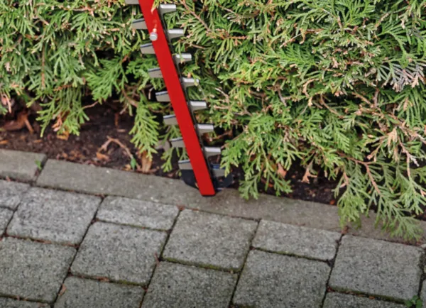 Einhell GE-CH 36/65 Li-Solo Akumulatorske makaze za žbunje 3410960