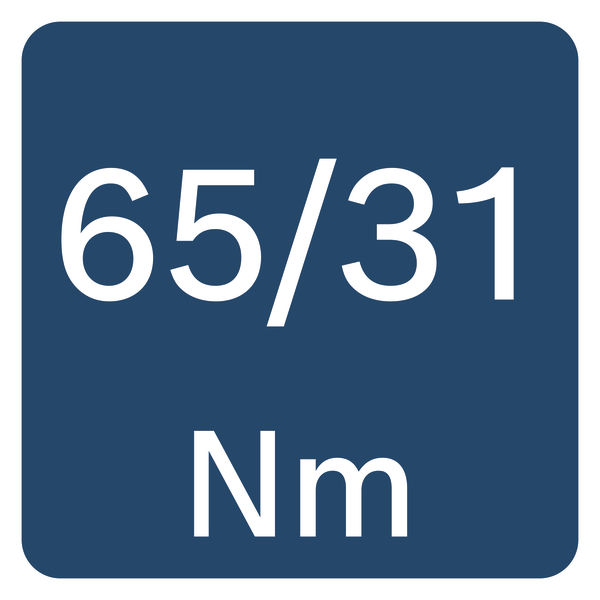 65/31 Nm