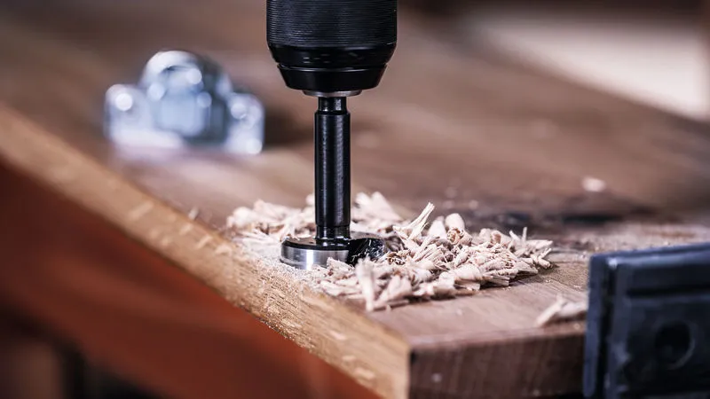 EXPERT Wood Forstner burgija, 50 mm 2608901842
