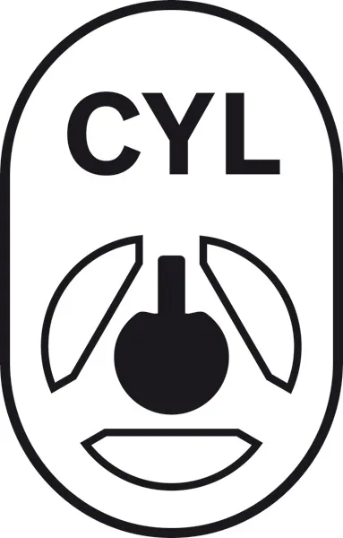 CYL 5 Shank Pikto 540659.webp