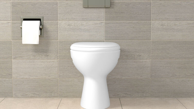 FISCHER set za fiksiranje WC šolje S 8 RD60 WCR 60570